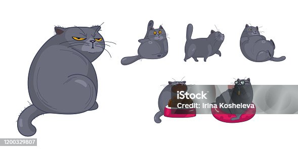 3,557 Fat Cat Illustrations & Clip Art - iStock | Fat cat white background,  Fat cat isolated, Fat cat businessman