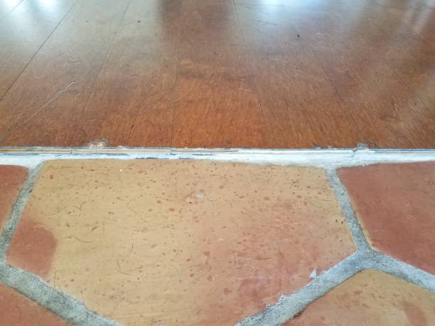 istock threshold between wood floor and tile floor with hairs 1200334236