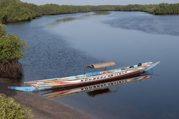 Sipo island, Senegal - june 25, 2019: Aerial view of a canoe moored on a beach between the mangroves of the Sine and Saloum river delta