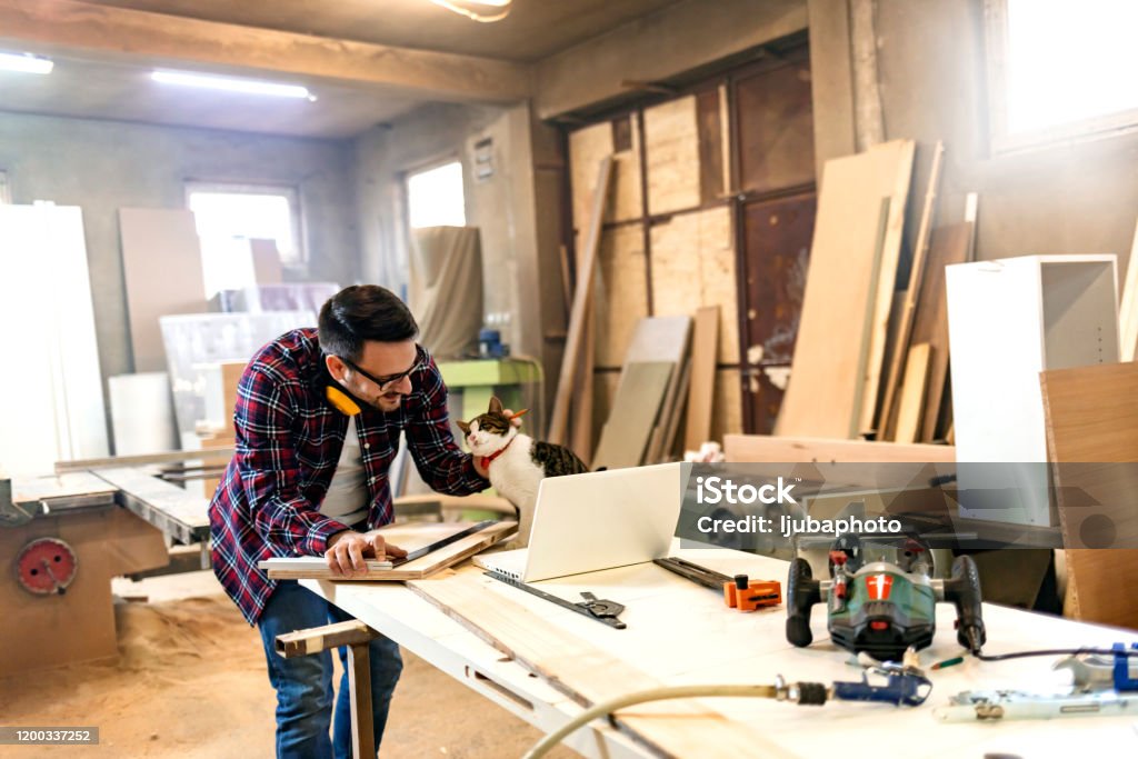 Smiling carpenter with cat in workshop Male carpenter in plaid shirt testing wood plank evenness at workshop in front of laptop, petting cat. Profession, carpentry, woodwork and people concept. Customized Stock Photo