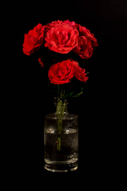 A Close Up View of a Bouquet of Red Roses