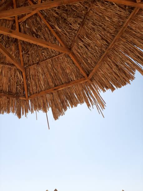 istock A projection of a straw canopy against a blue sky 1200338141