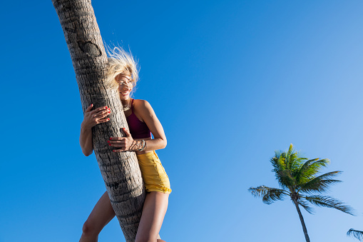 A young woman enjoys a moment in the sun-filled tropical life, climbing on a palm tree as the wind tousles her hair, on a beautiful blue-sky afternoon. Location: Fort Lauderdale, Florida