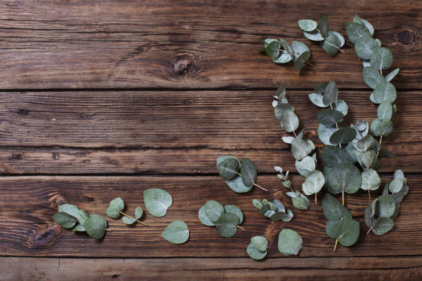 istock eucalyptus on old dark wooden background 1200338673