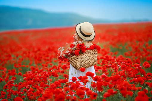 Rear view of a woman in a field with red poppies