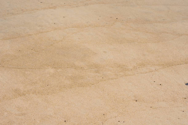 the texture of the sea sand on a beach