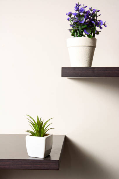 istock Two Pots with Plants on Shelves on the Wall. 1200341821