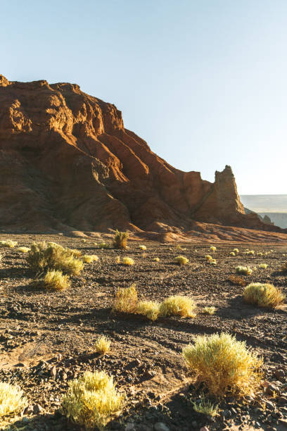 istock Scenic view of Atacama desert in Chile 1200342821