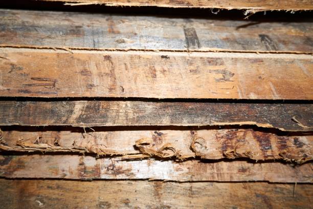 istock Brown wood texture. Abstract wood texture background. 1200346563