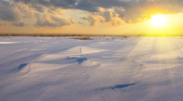 istock wide forest glade in a snow at the sunset, evening quiet winter background 1200351982