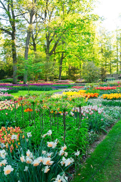 istock fresh lawn with flowers 1200357860