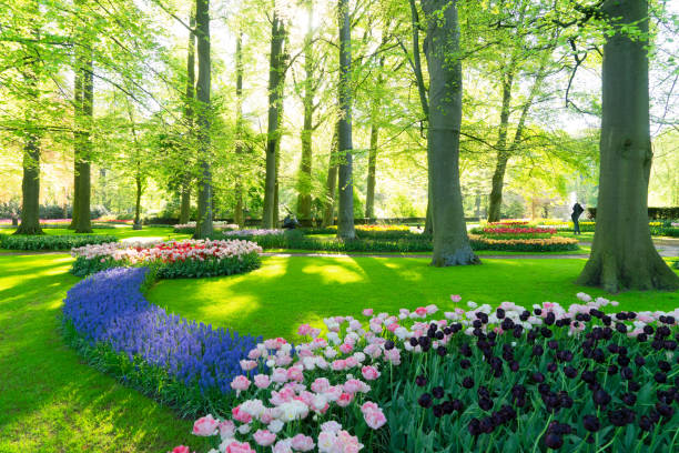 istock fresh lawn with flowers 1200358163