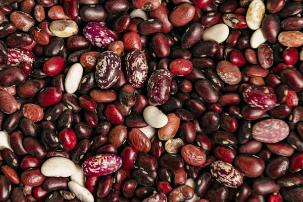 istock bean beans dark colors top view close up 1200363769