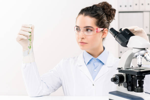 istock Young female biologist looking at flask while studying green plant in laboratory 1200366297