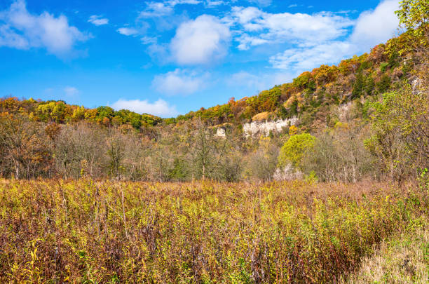 River and woodlands at whitewater state park