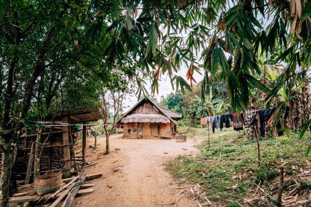 cabaña tradicional de bambú laosiano en un pueblo cerca de nong khiaw, laos - laos hut southeast asia shack fotografías e imágenes de stock