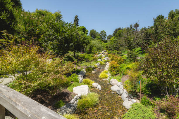 istock River in Japanese garden. 1200379493