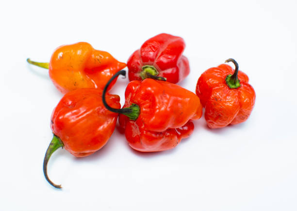 Habanero is a type of spicy pepper which is typically call Ata-Rodo in traditional Yoruba language