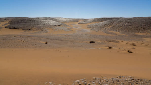 istock Landscape of Sahara desert 1200392192