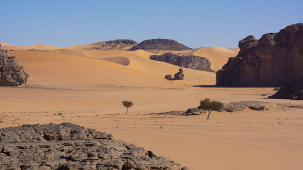 istock Landscape of Sahara desert 1200392251