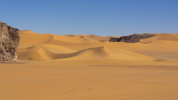 istock Dunes in Sahara desert 1200392254