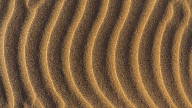 istock Dune sand background in Sahara desert 1200392921