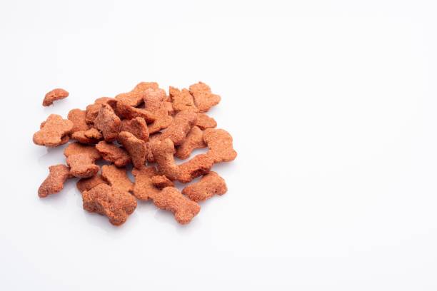 istock Dog food 1200392942