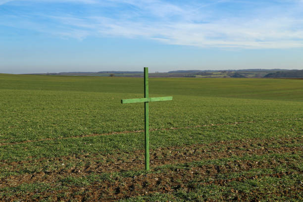 as cruzes verdes em campos alemães um formulário do protesto silencioso - green cross - fotografias e filmes do acervo