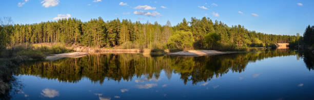 istock Meshchersky national Park in may. 1200396440