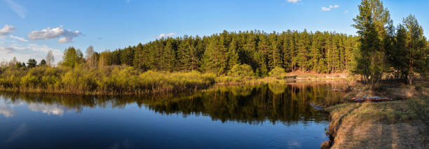 istock Meshchersky national Park in may. 1200396467