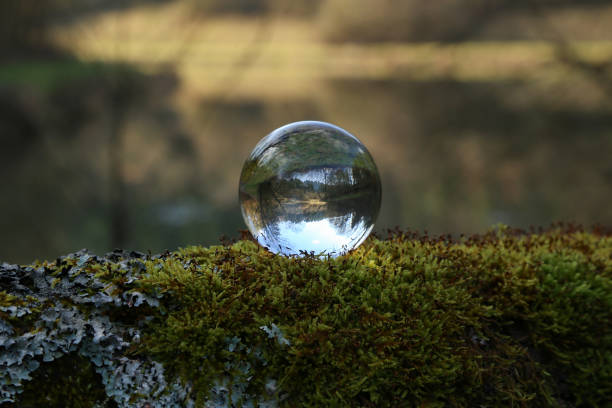 istock Forest Lake through a transparent glass ball 1200397067