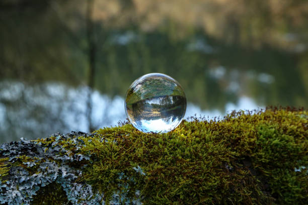 istock Forest Lake through a transparent glass ball 1200397072
