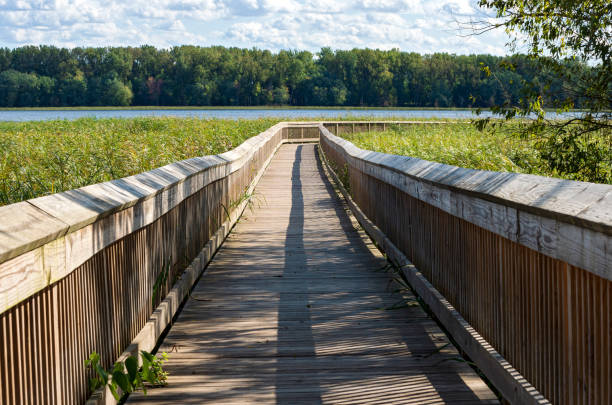 boardwalk at long meadow lake in bloomington