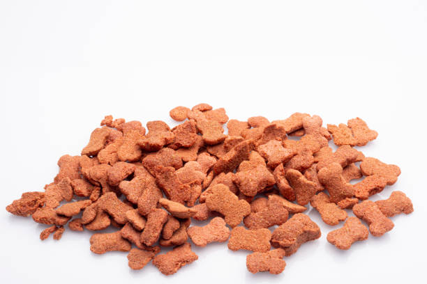 istock Dog food 1200398460