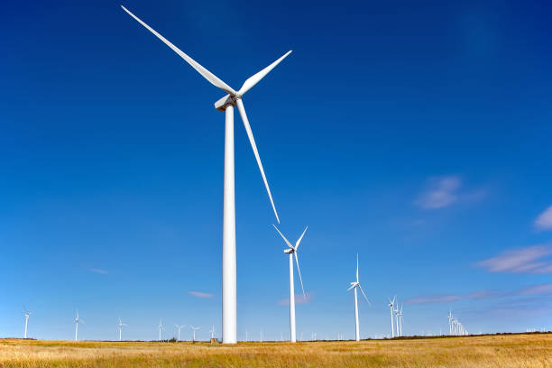 istock Wind turbines on a wind farm in Texas 1200407549