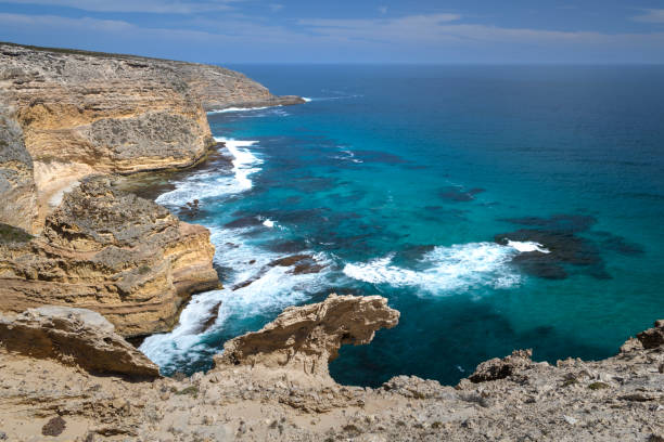 istock The Wild South Coast 1200411968