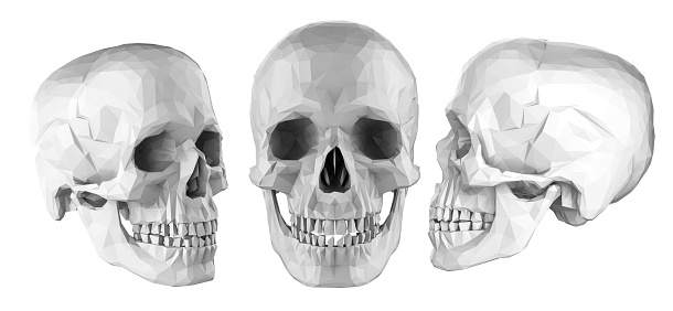 3d rendering set of polygonal human skulls isolated on white background
