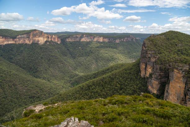 istock Devastation from the Australia bushfires that hit the Blue Mountains, NSW 1200418455