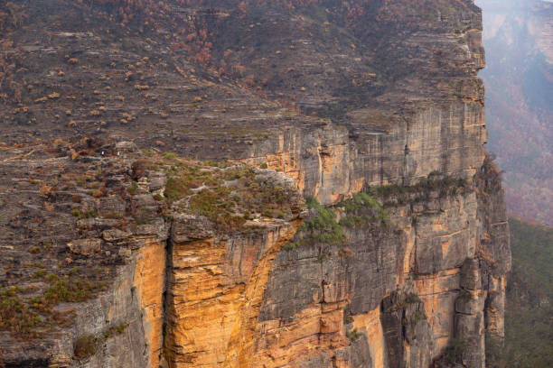 istock Devastation from the Australia bushfires that hit the Blue Mountains, NSW 1200418468