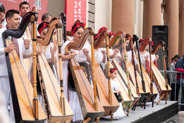 musiciens jouant de la harpe - veracruz photos et images de collection