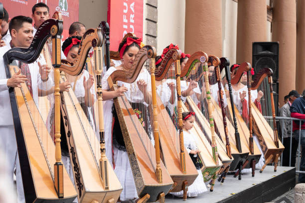 musicians playing the harp - veracruz imagens e fotografias de stock