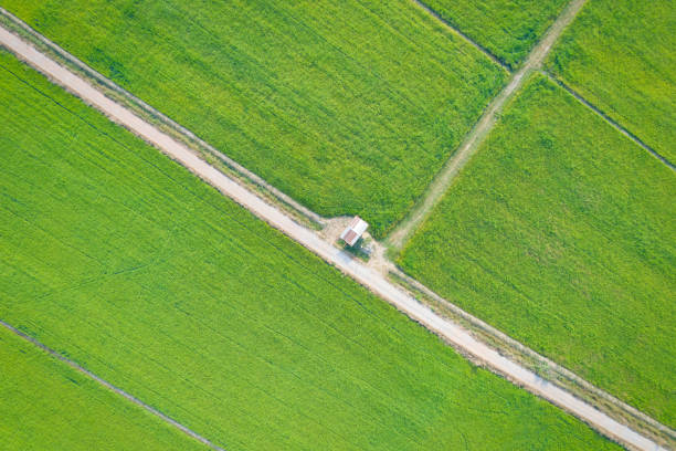 imagen aérea de hermoso campo de arroz verde y pasarelas en tailandia. - cham mask fotografías e imágenes de stock