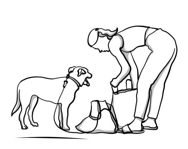 ilustrações de stock, clip art, desenhos animados e ícones de outing with my dog - woman reaching into handbag
