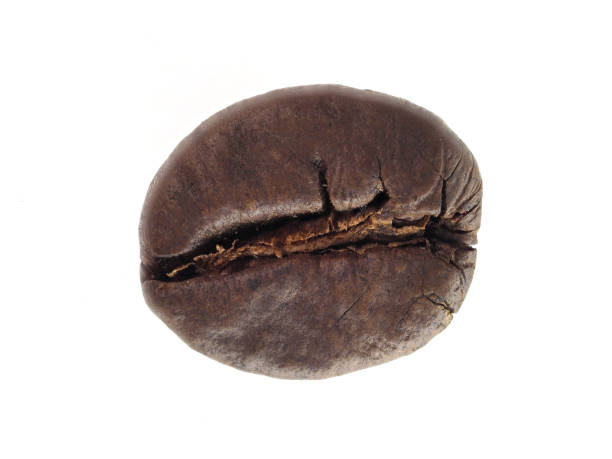 istock seed of coffee dark roasted 1200422513