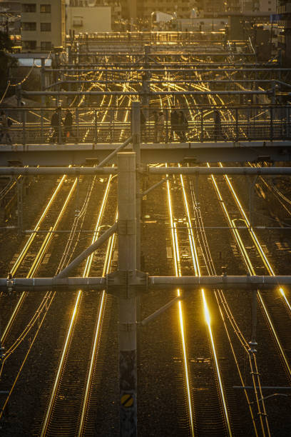 istock Image of the evening skyline and the line 1200424562