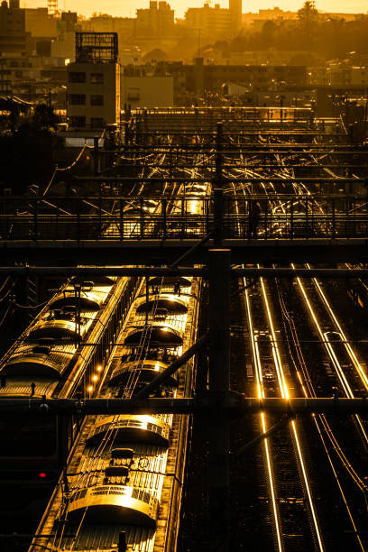 istock Image of the evening skyline and the line 1200424642