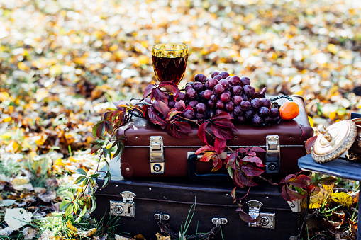 Red wine glass and a bunch of grapes on old suitcases in the open air against a blurred natural background.