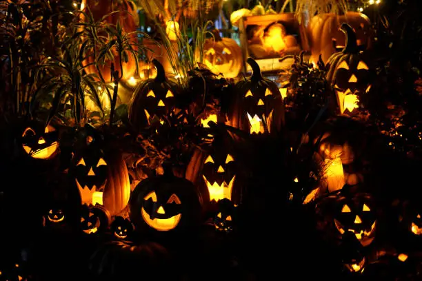 Image of Halloween jack lantern. Shooting Location: Yokohama-city kanagawa prefecture