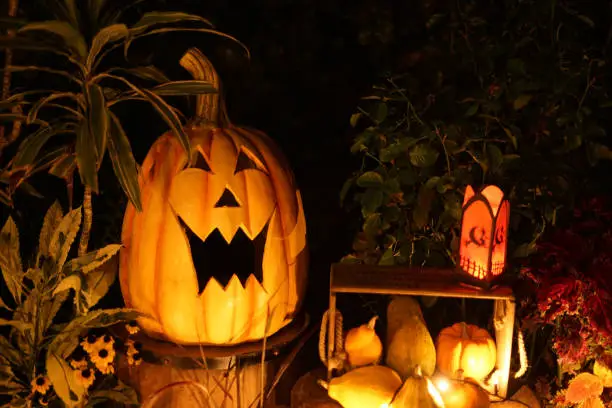 Image of Halloween jack lantern. Shooting Location: Yokohama-city kanagawa prefecture