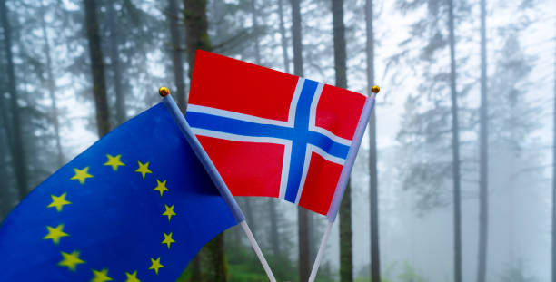 istock Norwegian flag and green picnic site on Bergen 1200428461
